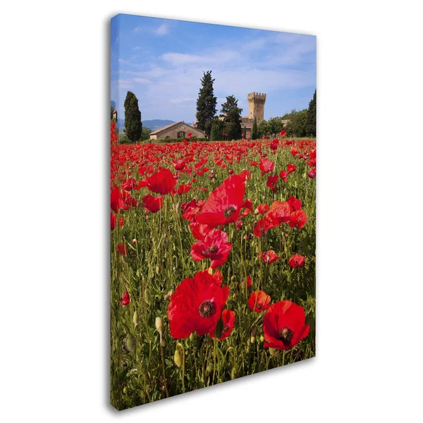 Trademark Fine Art &Poppies Close& by Michael Blanchette Photographic Print on Wrapped Canvas - Size: 47x22 H x 30x22 W x 2x22 D