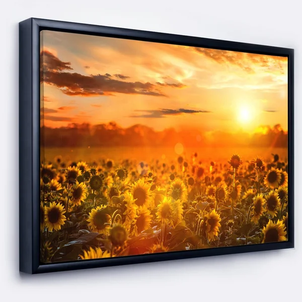 Designart 'Yellow Sunset Over Sunflowers' Floral Photography Framed Canvas Art - 20 in. Wide x 12 in. High - Black