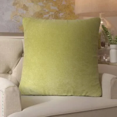 Square Velvet Throw Pillow Everly Quinn Size: Large, Color: Apple - Green