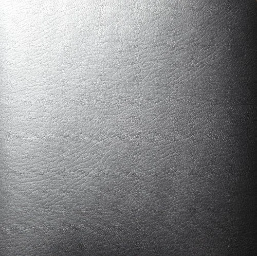 Window Cover Covercraft UV10841SV