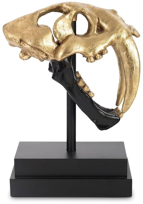 Phillips Collection Saber Tooth Tiger Skull, Black, Gold Leaf