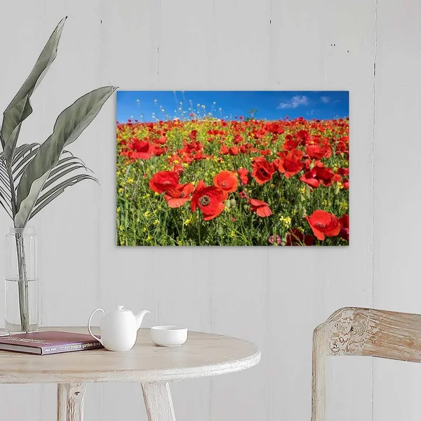 Spain - Andalusia, A Field of Bright and Cheerful Red Poppy Wildflowers, Canvas Wall Art, 24x16, Great Big Canvas