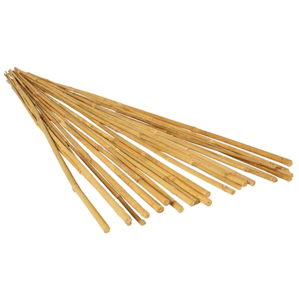 Hydrofarm HGBB8 Natural Bamboo Stakes - 8& - 25 pack