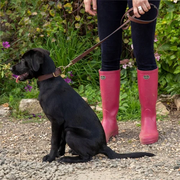 Le Chameau Leather Dog Lead - Marron Fonce