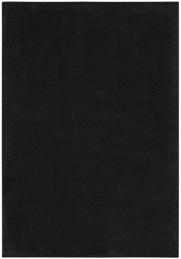 Nourison Essentials Indoor/Outdoor Contemporary Black Area Rug, Size: 4& x 6&
