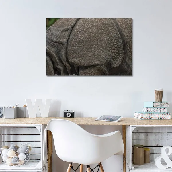 Rhino Lining Canvas Artwork Print by Louis Ruth ( Animal Art > wildlife > rhinoceroses art)